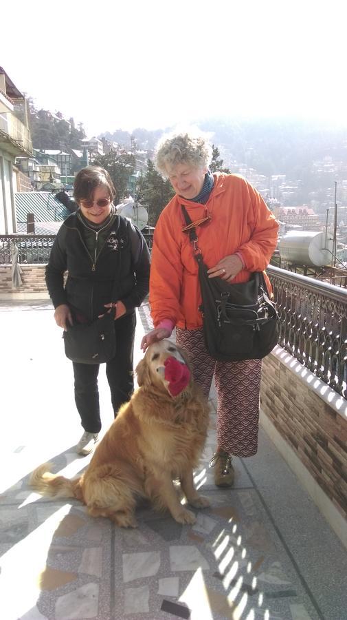 The Thistle Lodge Shimla Buitenkant foto